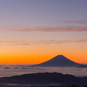 Ai明星换脸杨颖浴室视频
